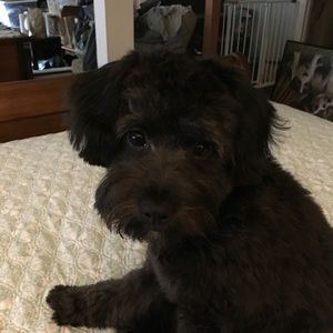 Meet your Posher, Ursula